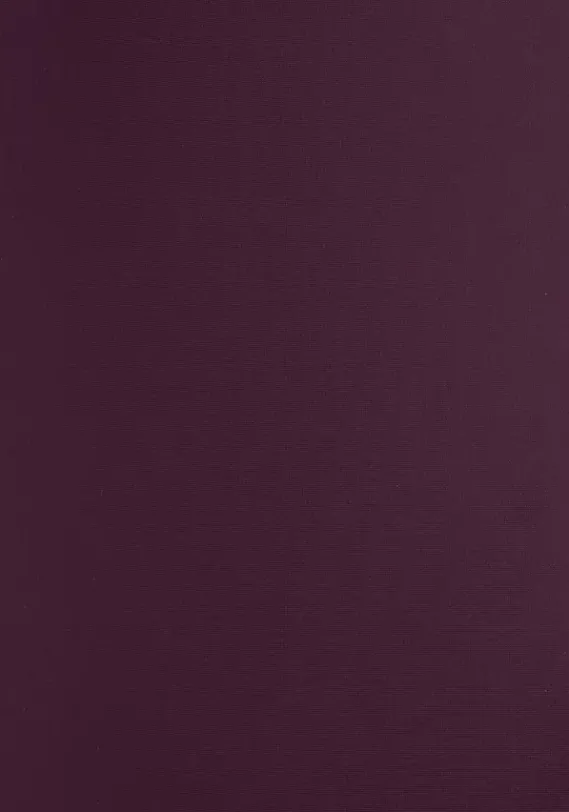 Badeanzuge|JETTE Badeanzug"Volant" Bordeaux