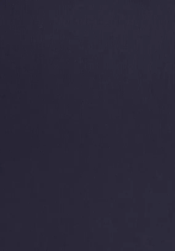 LASCANA Bikini-Unterteile<Highwaist-Bikini-Hose"Camilla"