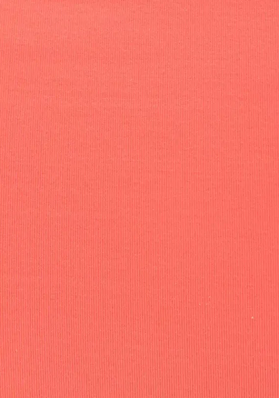 Bikini-Unterteile|Sunseeker Highwaist-Bikini-Hose"Dainty" Hummer