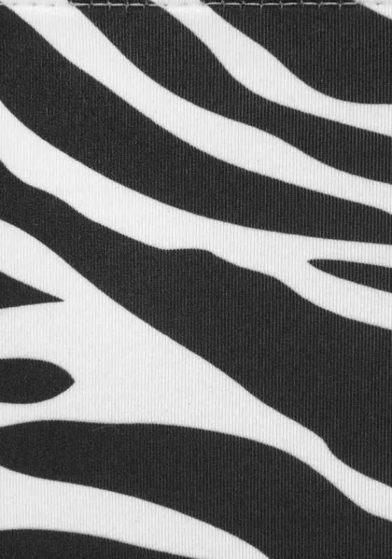 Bikini-Unterteile|Venice Beach Highwaist-Bikini-Hose"Fjella" Schwarz-Weis